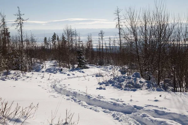 Frozen country side - like post card view.