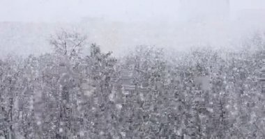 Şiddetli kar, büyük kar taneleri düşüyor, arka planda ağaçlar