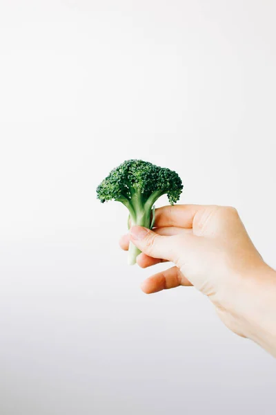 Inflorescencia verde de brócoli fresco en la mano sobre un fondo blanco. comida vegana — Foto de Stock