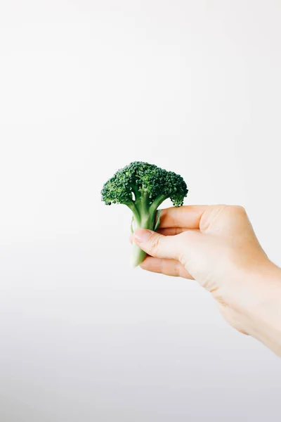 Inflorescencia verde de brócoli fresco en la mano sobre un fondo blanco. comida vegana — Foto de Stock