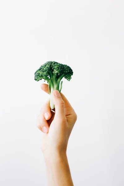 Inflorescencia verde de brócoli fresco en la mano sobre un fondo blanco. comida vegana — Foto de Stock