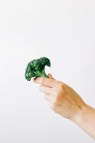 Πράσινη ταξιανθία φρέσκου μπρόκολου στο χέρι σε λευκό φόντο. χορτοφαγικό φαγητό — Φωτογραφία Αρχείου