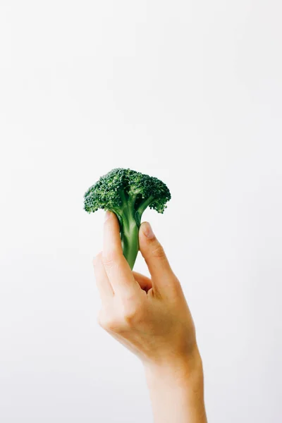 Groene bloeiwijze van verse broccoli in de hand op een witte achtergrond. veganistisch voedsel — Stockfoto