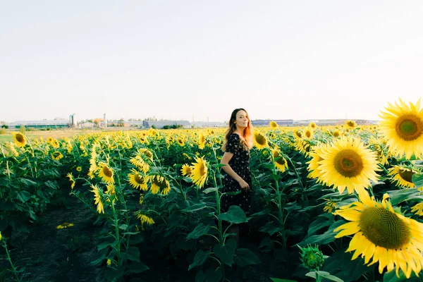 Jeune belle fille dans un champ parmi les fleurs de tournesol au coucher du soleil — Photo