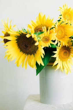 Beyaz arka planda bir vazo içinde parlak sarı ayçiçeği çiçekleri.