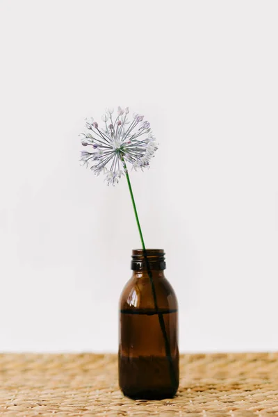 one purple round flowers in brown glass jars on a wicker table