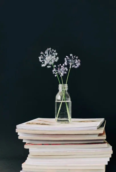 three purple round flower in a transparent glass jar on a stack of magazines on a black background