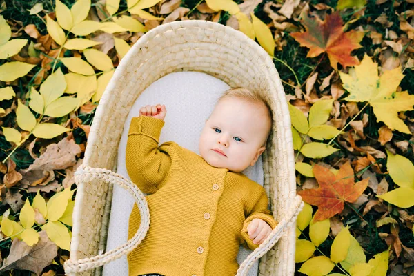Ten Uroczy Chłopiec Leży Wiklinowym Koszu Parku Polanie Rozrzucone Jesiennych — Zdjęcie stockowe