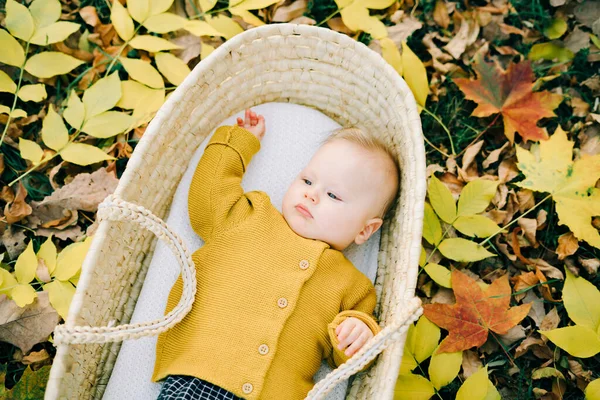 这个可爱的男孩躺在公园里一个柳条筐里 在一片清澈的落叶丛中 — 图库照片
