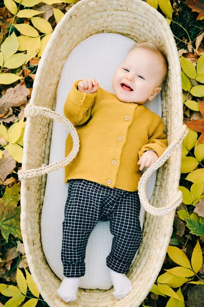 Dieser Süße Junge Liegt Einem Weidenkorb Park Auf Einer Lichtung — Stockfoto