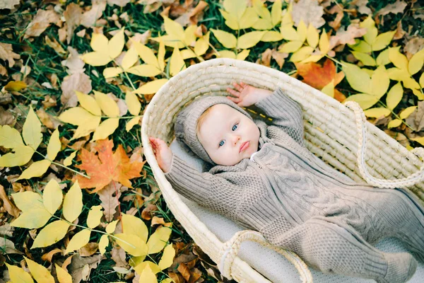 Deze Schattige Jongen Ligt Een Rieten Mand Het Park Een — Stockfoto