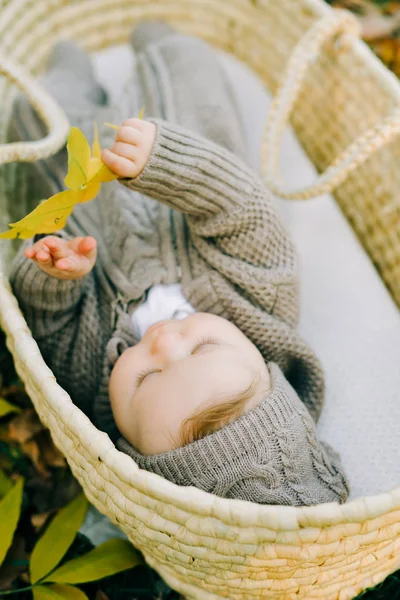 Ten Uroczy Chłopiec Leży Wiklinowym Koszu Parku Polanie Rozrzucone Jesiennych — Zdjęcie stockowe