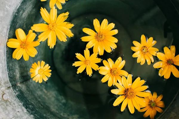 yellow flowers in a bucket of water