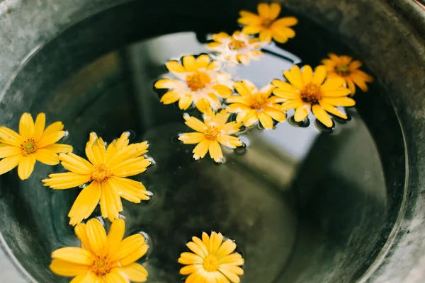 yellow flowers in a bucket of water