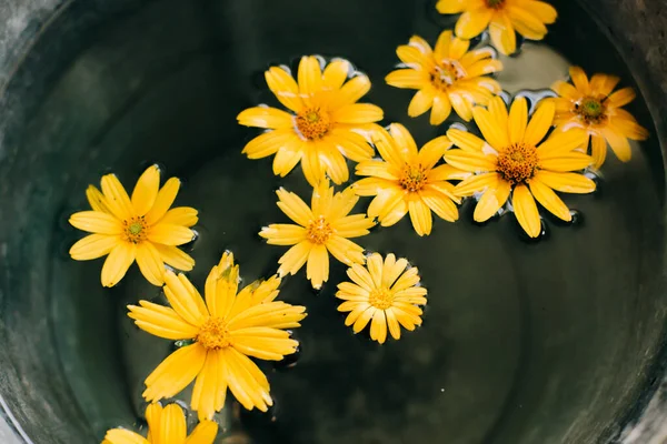 yellow flowers in a bucket of water
