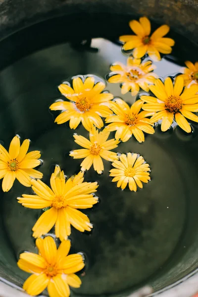 yellow flowers in a bucket of water