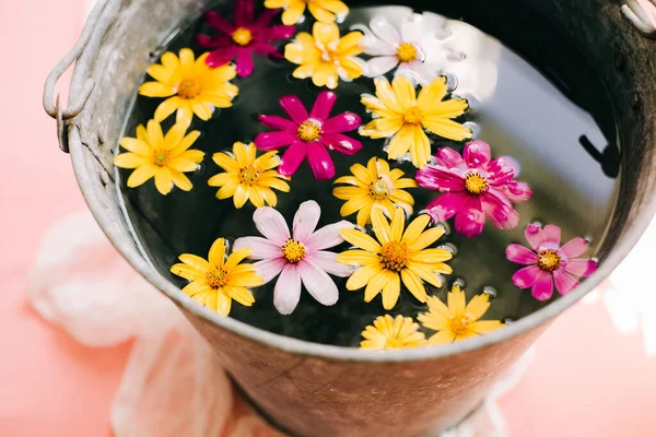 colorful flowers in a bucket of water