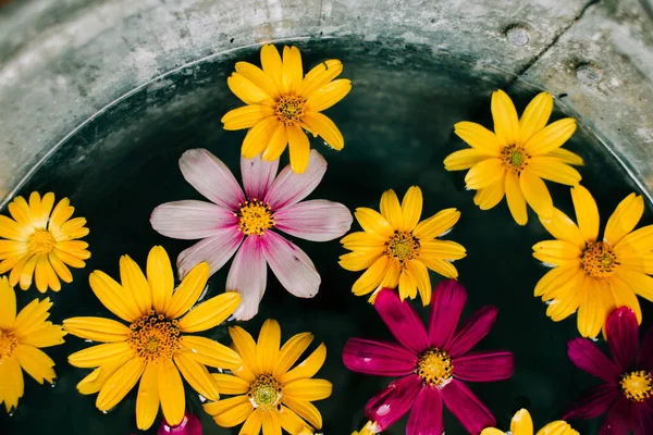 colorful flowers in a bucket of water