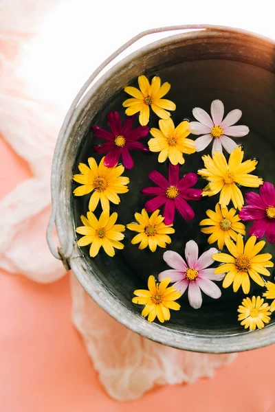 colorful flowers in a bucket of water