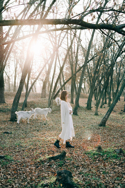portrait of a young attractive fair haired girl in a light white dress and black shoes in a picturesque forest with goats