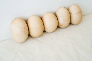 Beş Paskalya yumurtası beyaz bir duvara karşı kırık kabuklu renkli modayı takip ediyor. En az stil. Paskalya konsepti.