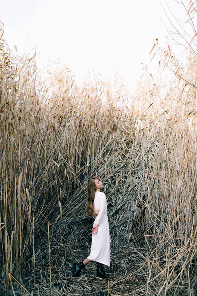 Portrait of a young attractive girl in a light white dress and black shoes standing among the reeds