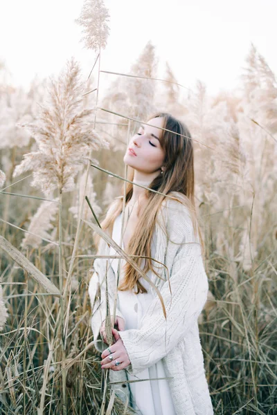Portrait of a young beautiful girl in a white dress, a warm knitted cardigan and black shoes among dry fluffy reeds in the autumn time at sunset.nature,fashion concept — Stock Photo, Image