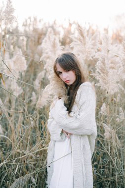 Beyaz elbiseli güzel bir kızın portresi, kalın örgü bir hırka ve siyah ayakkabılar, sonbahar zamanı gün batımında kuru kabarık kamışların arasında. Doğa, moda konsepti.