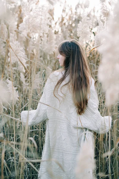 Portrait of a young beautiful girl in a white dress, a warm knitted cardigan and black shoes among dry fluffy reeds in the autumn time at sunset.nature,fashion concept — Stock Photo, Image