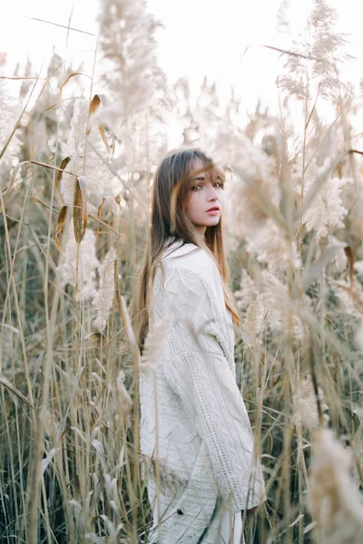 Portrait of a young beautiful girl in a white dress, a warm knitted cardigan and black shoes among dry fluffy reeds in the autumn time at sunset.nature,fashion concept — Stock Photo, Image