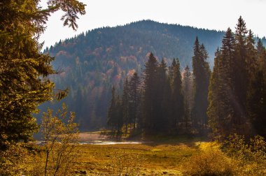 Karpatlar 'daki Synevyr Gölü