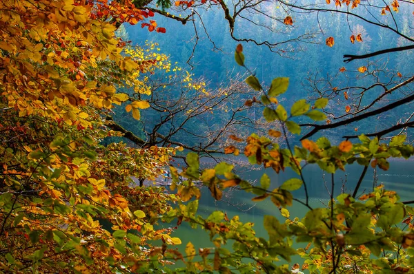 Synevyr See Den Karpaten — Stockfoto