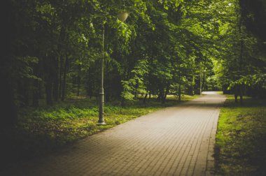  Kiev şehrindeki Feofania Parkı