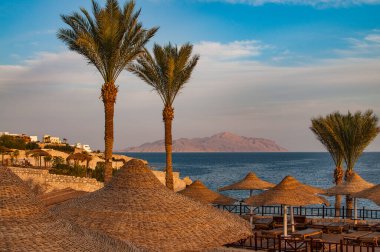 Mısır şehri Sharm El Sheikh