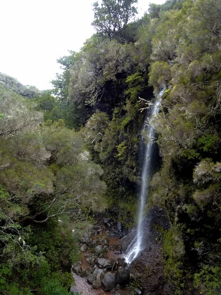 Trekking de 25 fontes y cascada Risco en Madeira — Foto de Stock