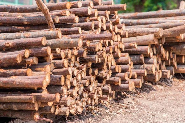 Firewood stacked up in a pile for kindle — Stock Photo, Image