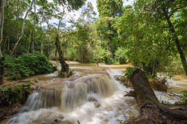 Tat Kuang Si Luang prabang, Laos, şelale Ani sel