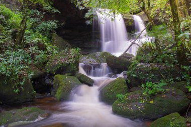 phu küvet berk dağ phet, yağmur ormanlarında güzel şelale