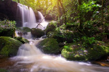 phu küvet berk dağ phet, yağmur ormanlarında güzel şelale