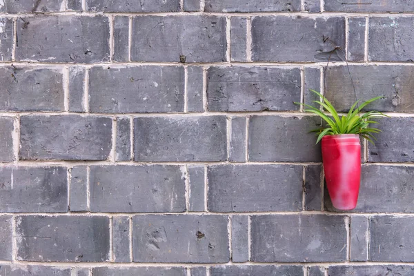 냄비에 벽돌 벽 배경 꽃 — 스톡 사진
