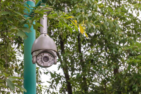 Câmera de CCTV de segurança e vídeo urbano no parque público — Fotografia de Stock