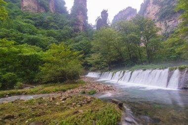 Şelale altın kırbaç akışı Zhangjiajie Ulusal Ormanı p