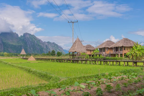 Cottage or hut with mountain in Vang Vieng, Laos — Stock Photo, Image