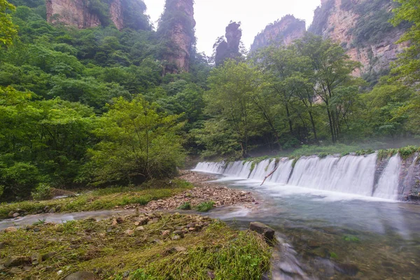 Cascata in torrente frusta d'oro a Zhangjiajie National Forest P — Foto Stock