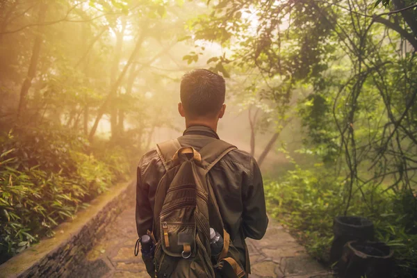 Ο άνθρωπος που το περπάτημα στο δάσος με ομίχλη φύση φόντο, Lifest ταξίδια — Φωτογραφία Αρχείου