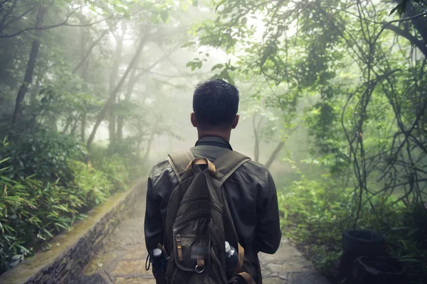 Man vandrar i skogen med mist natur bakgrund, resor Lifest — Stockfoto