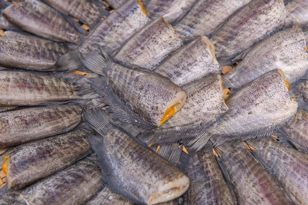 Trichogaster pectoralis, torr fiska ut salt för matlagning — Stockfoto