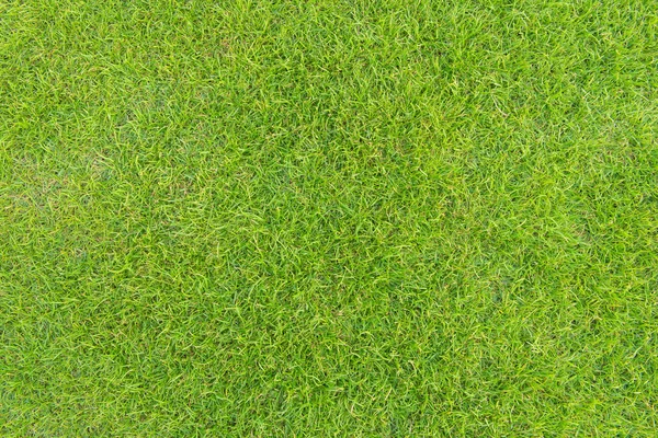 Texture d'herbe verte d'un terrain de football — Photo