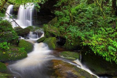 phu küvet berk dağ phet, yağmur ormanlarında güzel şelale