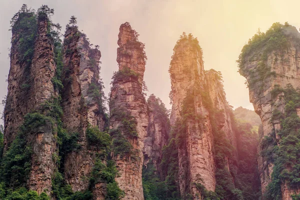 Krásný výhled na přírodní křemenný pískovec pilíře Zhangjiajie — Stock fotografie